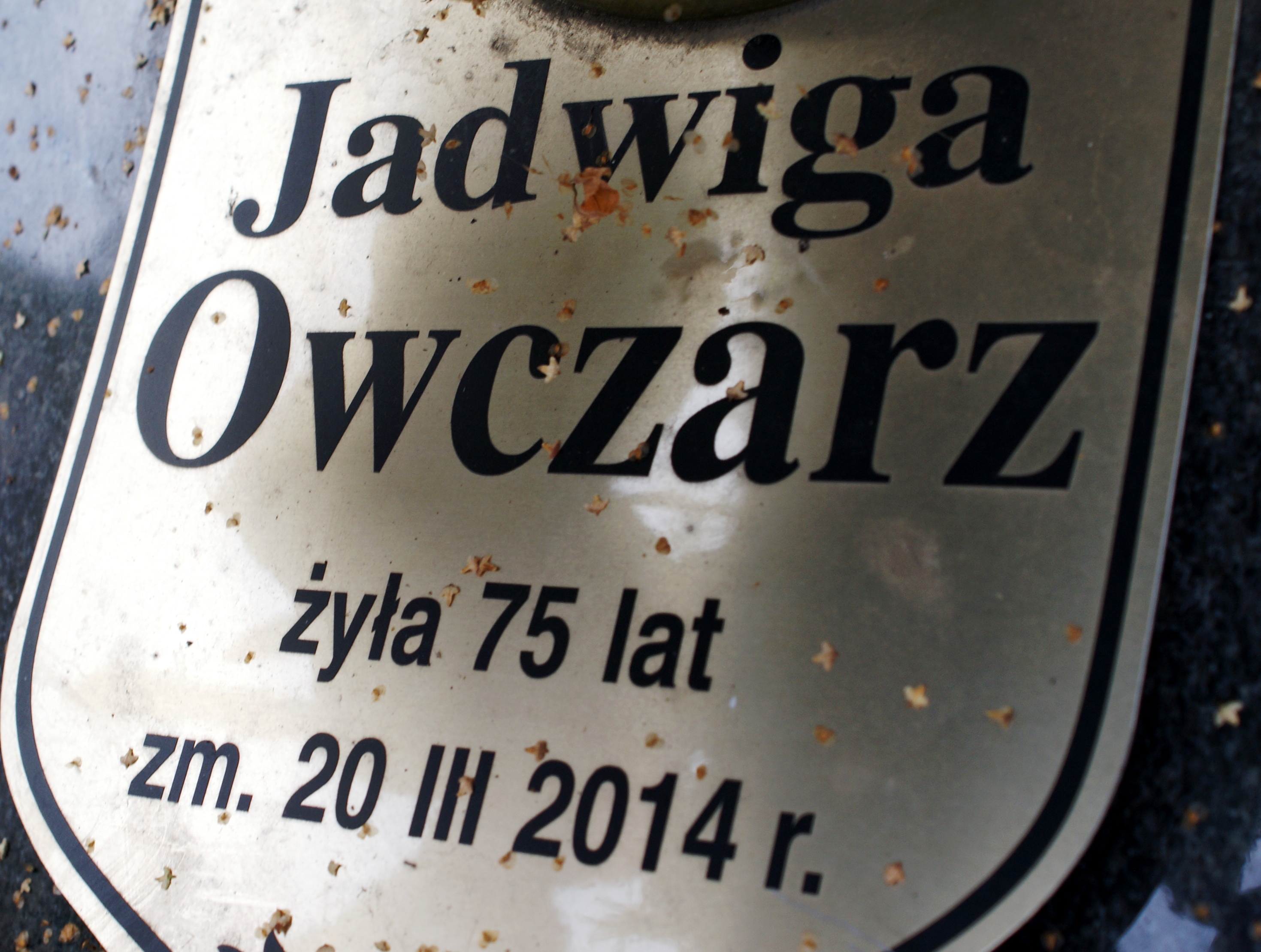 Zdjęcie grobu